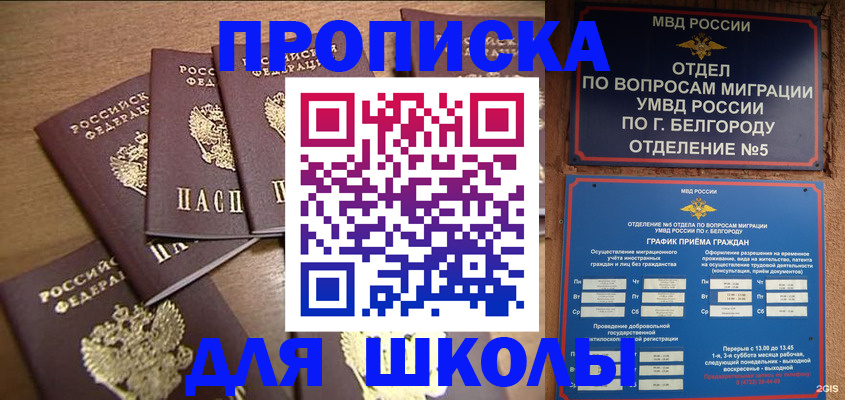 прописка гарантия в Пласте